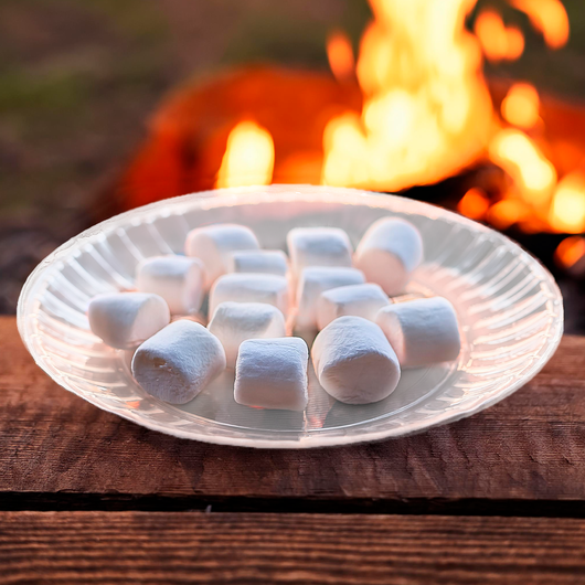 Тарілка склоподібна біла D-205мм 10шт, изображение 3