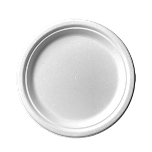 Тарілка з цукрової тростини 260мм 25шт, изображение 2